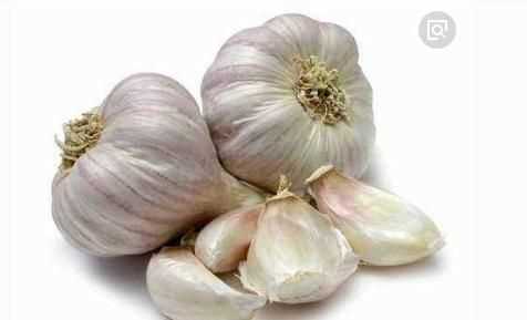 蒜頭發(fā)芽了還能吃嗎，蒜米生芽了還能吃嗎？圖8