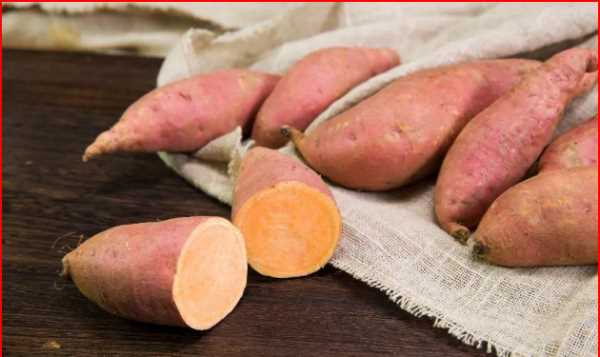 地瓜長出紫色的芽還能吃,紅薯發(fā)芽了紫色的芽還能吃嗎圖3