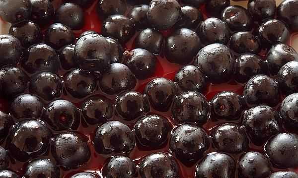 水果有哪些品種