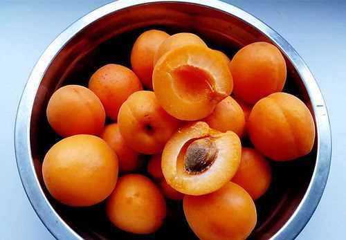 杏子的核可以敲開吃嗎