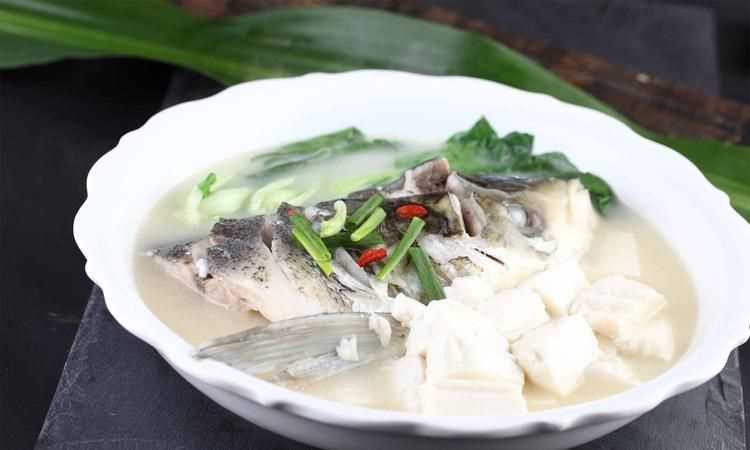 做魚頭豆腐湯用什么樣的豆腐好一點