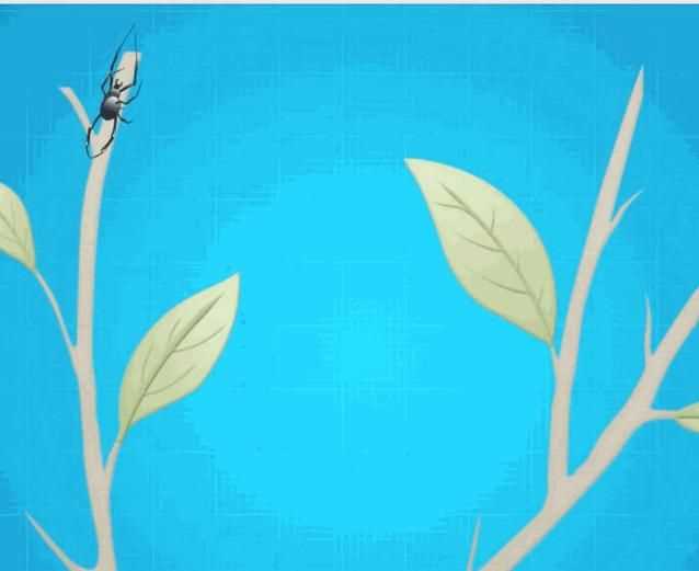 蜘蛛織的網(wǎng)會(huì)網(wǎng)住蜘蛛嗎，蜘蛛拉的網(wǎng)破后，還把網(wǎng)吃掉嗎？圖5