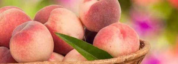 桃子保存保鮮方法,桃子怎么保存才能保鮮時(shí)間長(zhǎng)圖1