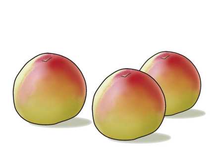 桃子保存保鮮方法,桃子怎么保存才能保鮮時(shí)間長(zhǎng)圖4