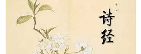 詩經(jīng)共有多少篇,詩經(jīng)共多少篇 詩經(jīng)一共有多少篇內(nèi)容圖3