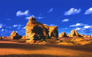 沙漠旅游的安全知識(shí)