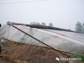 大棚卷簾機的安全使用知識