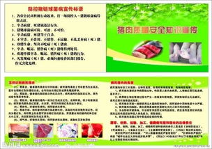 質量安全月知識競賽宣傳語