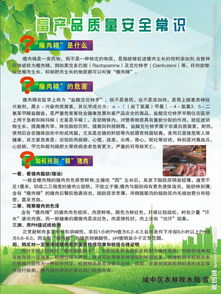 畜產(chǎn)品安全知識免費(fèi)