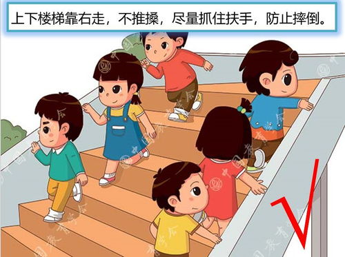 防踩踏安全知識(shí)培訓(xùn)心得