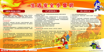 生活中應(yīng)具備的常識和安全知識