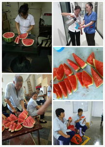 夏天保潔員安全知識(shí)