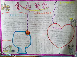 簡(jiǎn)單又漂亮食品安全知識(shí)手抄報(bào)