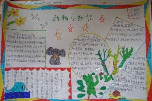 三級小學生安全知識小報內(nèi)容