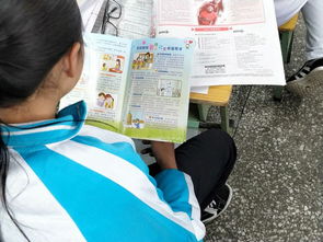 防欺凌安全知識(shí)作文