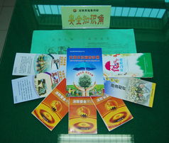 安全角知識(shí)和圖案