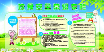 飲食安全知識心得體會