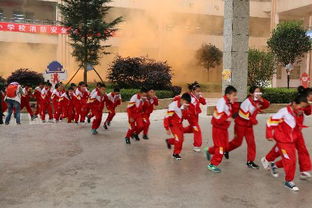 高校消防安全知識(shí)心得體會(huì)