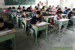 小學(xué)春季安全知識測試