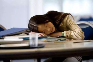 小學(xué)生午休安全知識資料