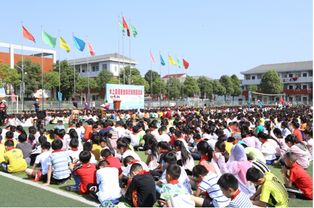 水上交通安全知識(shí)宣傳活動(dòng)小結(jié)