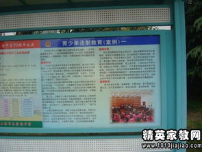 校園安全知識活動總結(jié)