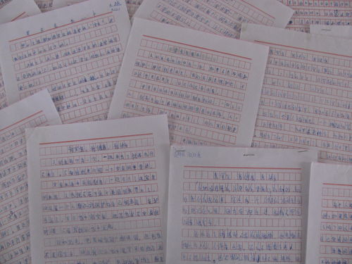 中學(xué)生安全知識作文400