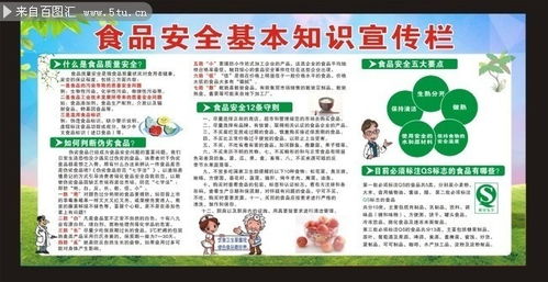 食品安全的基礎(chǔ)知識