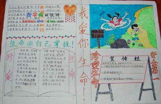 二級(jí)安全知識(shí)黑板報(bào)內(nèi)容資料