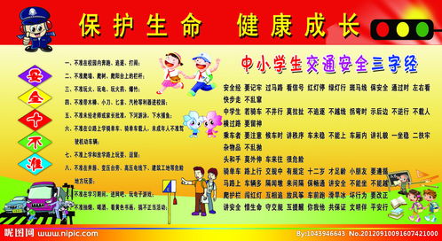 小學(xué)安全知識(shí)學(xué)后感200