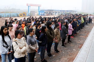 消防安全知識(shí)及實(shí)戰(zhàn)演練