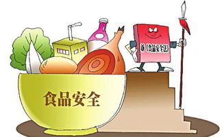 食品安全預(yù)防傳染病教育知識