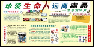 禁毒宣傳安全知識(shí)