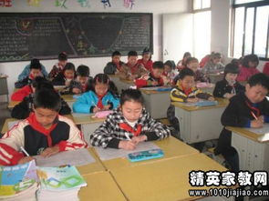 學(xué)校安全宣傳知識(shí)活動(dòng)總結(jié)