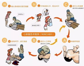 安全急救知識心肺復(fù)蘇