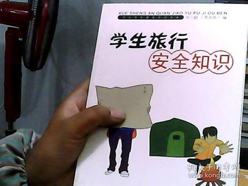 學(xué)安全知識(shí)行平安之旅的ppt