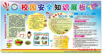 關(guān)于安全校園的知識(shí)高中作文