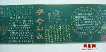 開學黑板報上安全知識