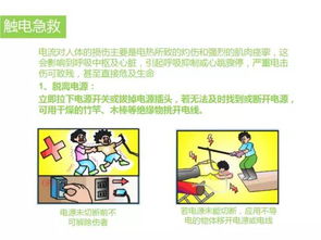 用電安全知識(shí)培訓(xùn)豆丁