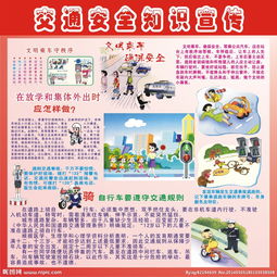 交通安全知識(shí)宣傳的