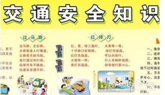 安全知識第一課讀后感450