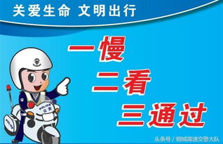 掌握交通安全知識