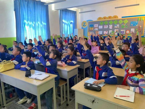 家庭學(xué)校社會(huì)安全知識(shí)