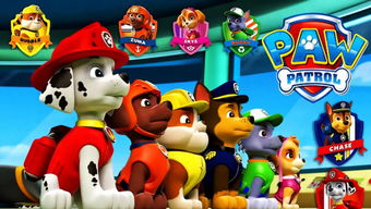 汪汪隊安全知識