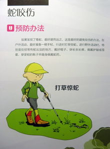 防動物咬傷的安全知識