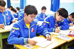 電視采訪關于安全方面的知識