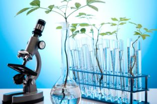 有機(jī)實驗安全知識