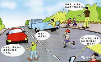 兒童交通安全安全知識