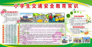 小學(xué)沒(méi)交通安全知識(shí)培訓(xùn)