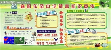 禁毒安全知識讀后感1500